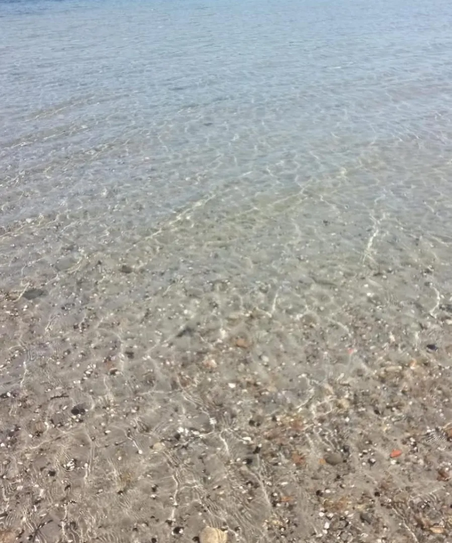 Appartamento vista mare Lavagna